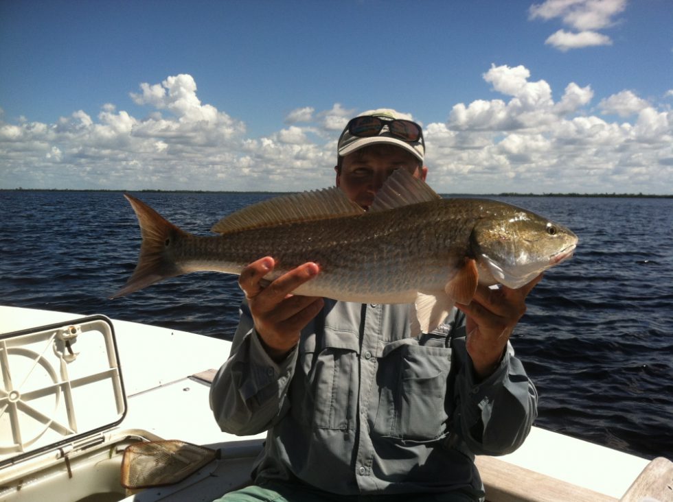 Redfish Snook Stamp Charters