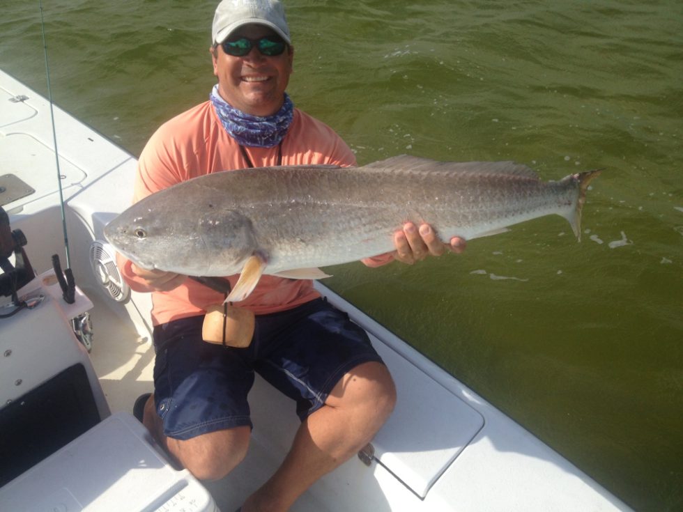 Redfish Snook Stamp Charters